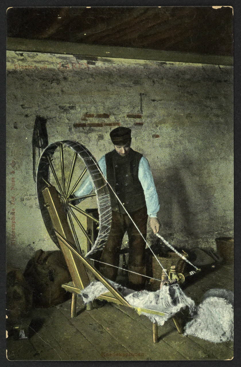 carte postale KOEDEKSPINNEN 4P1276 Photo