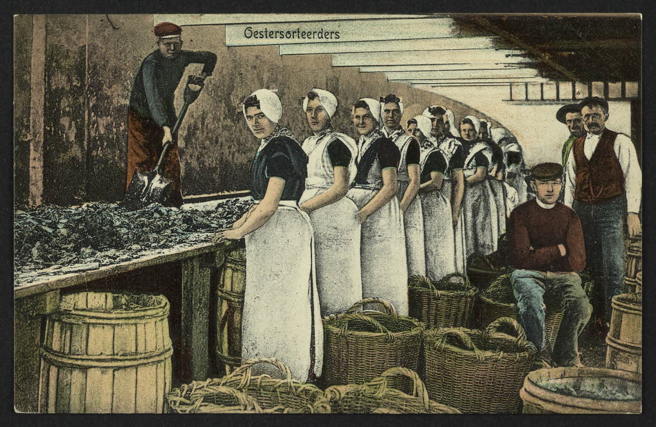 carte postale OESTERSORTEERDERS 4P1374 Photo