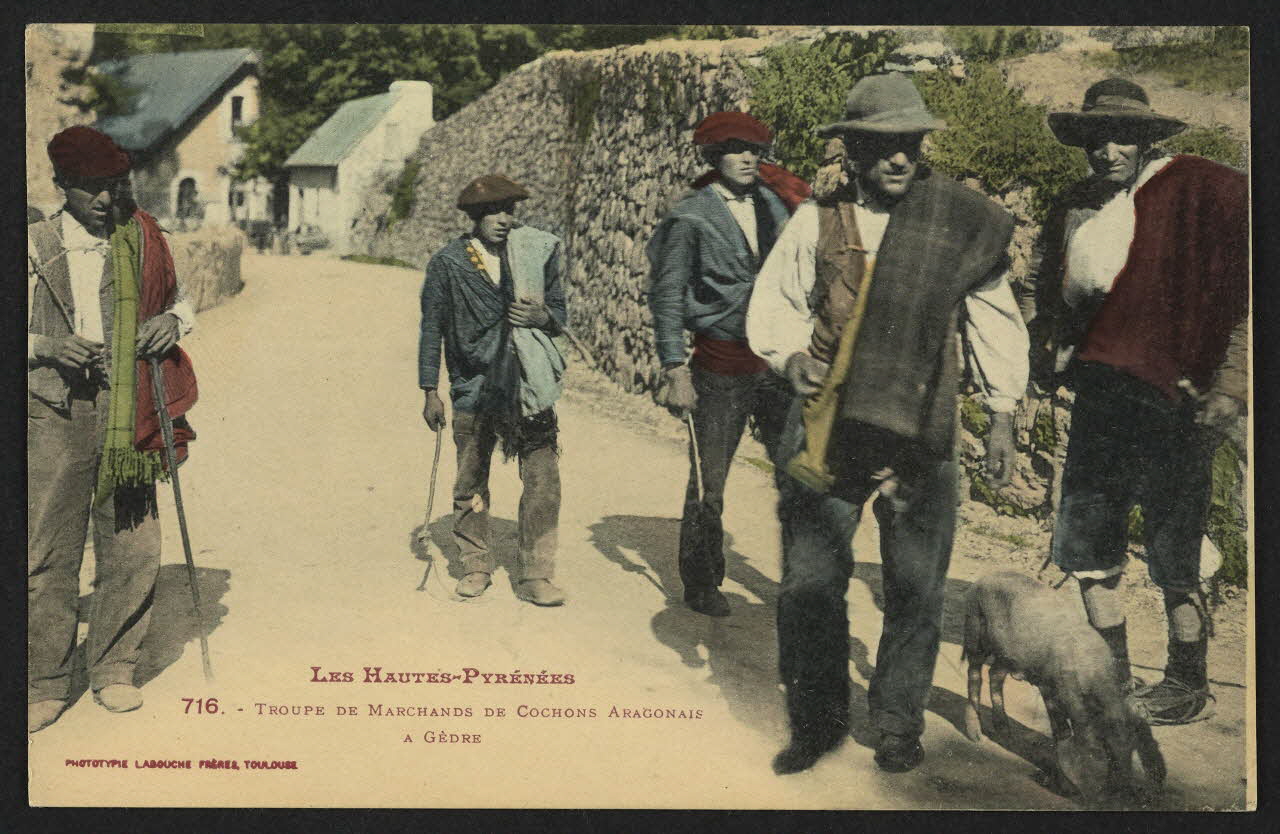 carte postale TROUPE DE MARCHANDS DE COCHONS ARAGONAIS A GEDRE 4P1400 Photo