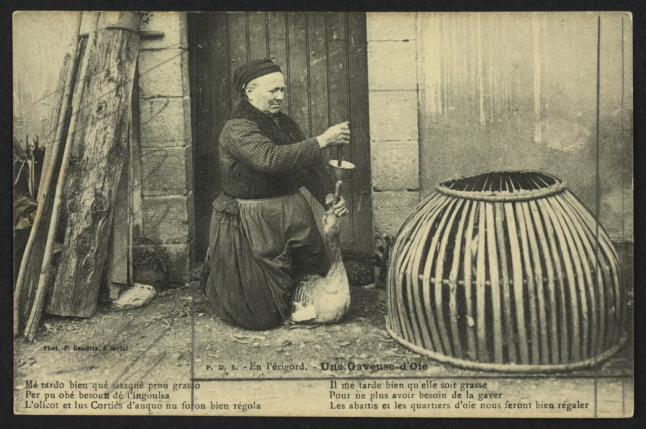 carte postale EN PERIGORD, UNE GAVEUSE D'OIE, POESIE 4P1421 Photo