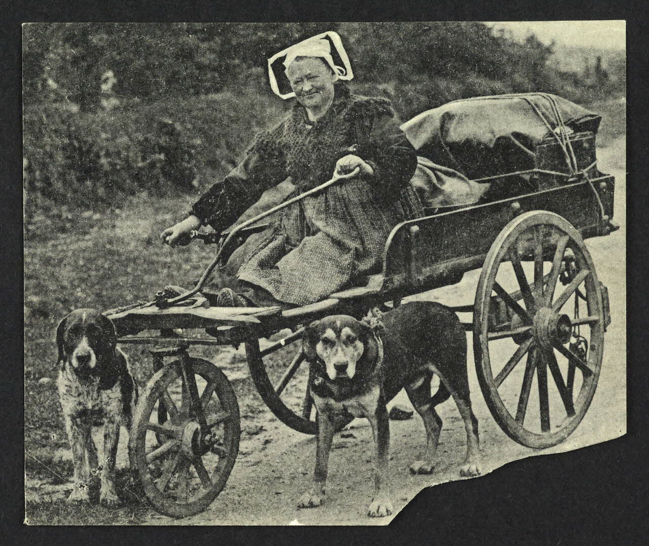 carte postale 4P1422 Photo