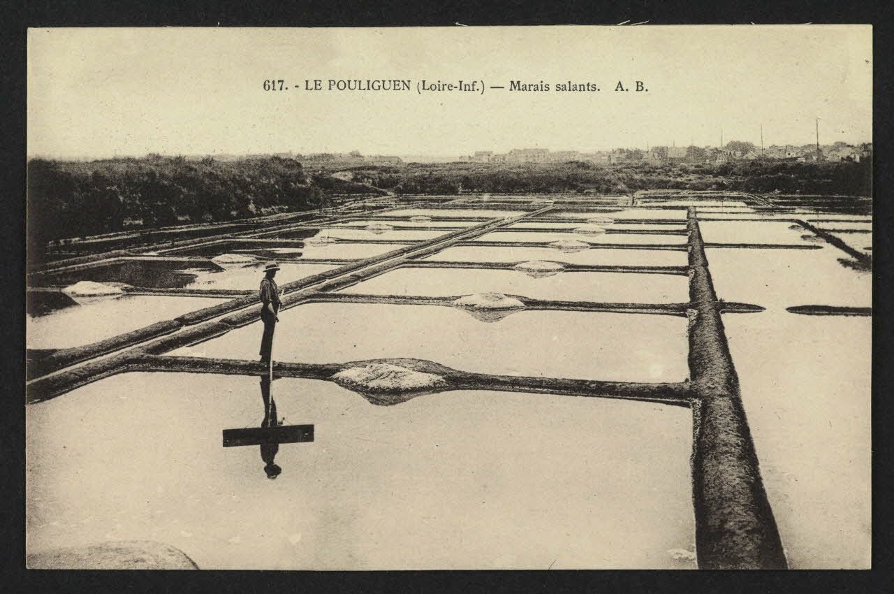 carte postale LE POULIGUEN, MARAIS SALANTS 4P1442 Photo