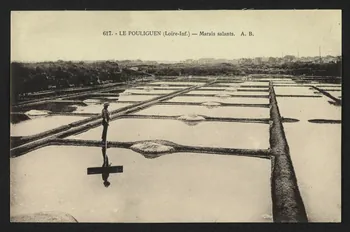 carte postale LE POULIGUEN, MARAIS SALANTS 4P1442  Photo
