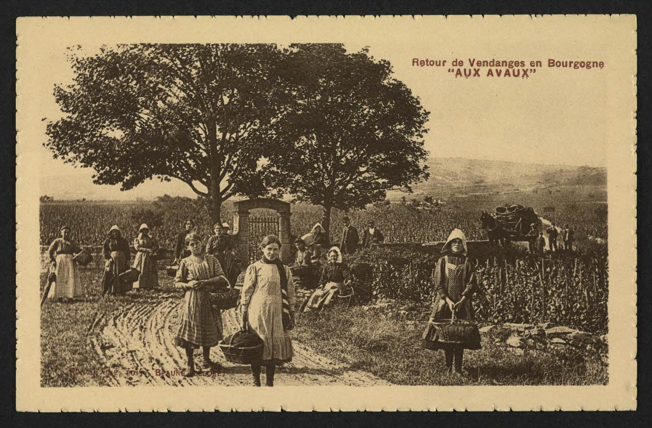 carte postale RETOUR DE VENDANGES EN BOURGOGNE "AUX AVAUX" 4P1455 Photo