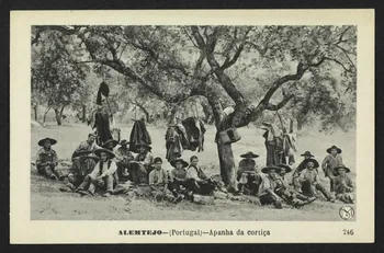 carte postale ALEMTEJO, APANHA DA CORTICA 4P1468 Photo