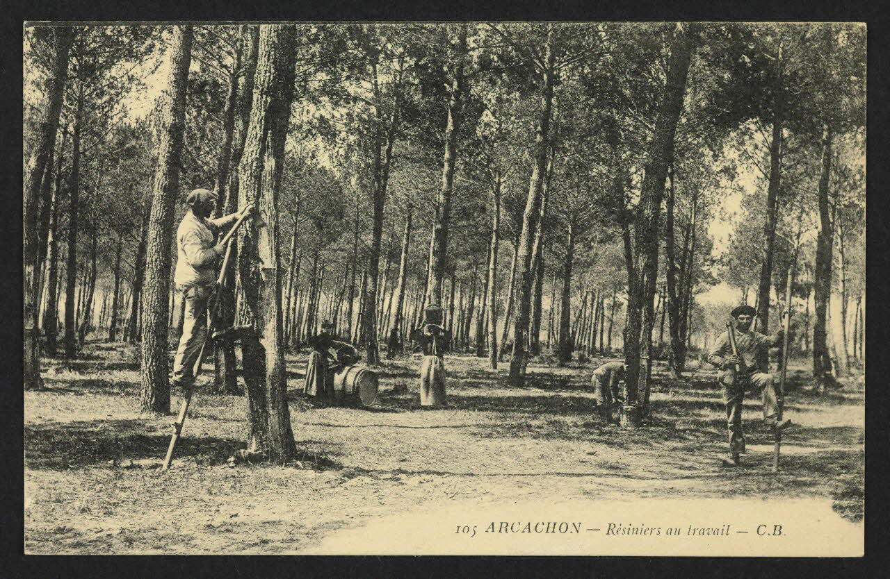 carte postale ARCACHON, RESINIERS AU TRAVAIL 4P1469 Photo