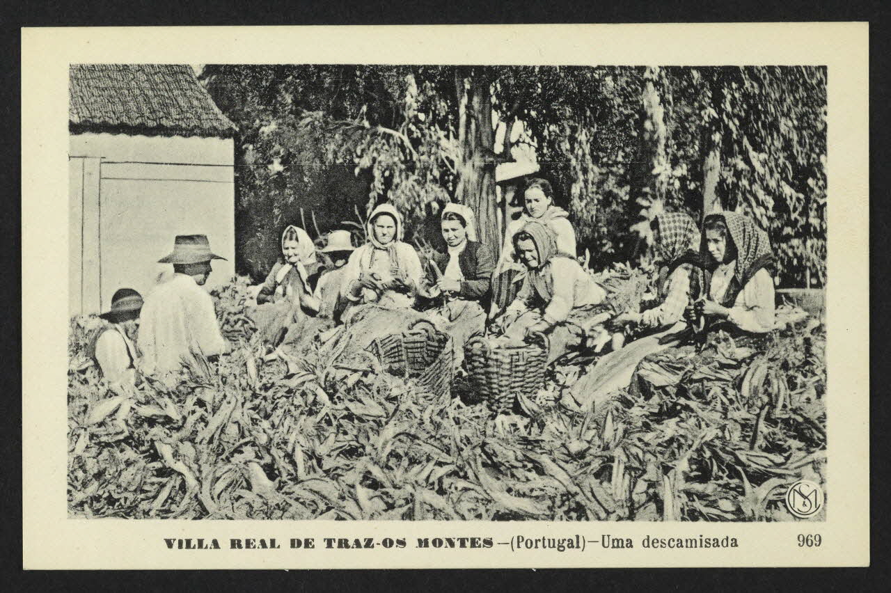 carte postale VILLA REAL DE TRAZ-OS MONTES, UMA DES CAMISADA 4P1470 Photo