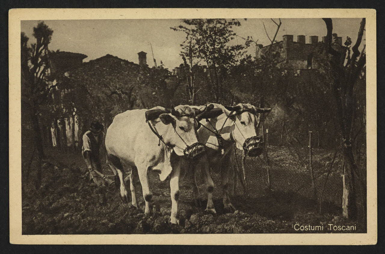 carte postale COSTUMI TOSCANI 4P1475 Photo