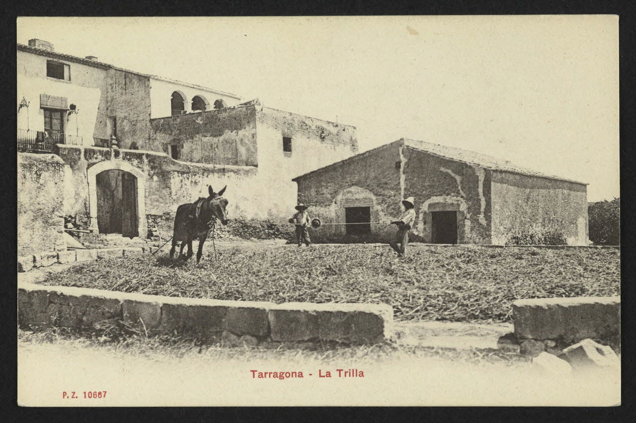 carte postale TARAGONA, LA TRILLA 4P1478 Photo