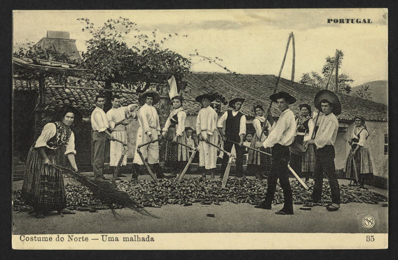carte postale COSTUM DO NORTE, UMA MALHADA 4P1479 Photo