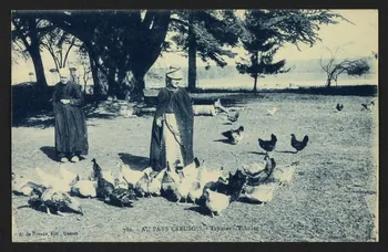 carte postale AU PAYS CREUSOIS, TCHUTAS ] TCHUTAS ] 4P1485 Photo