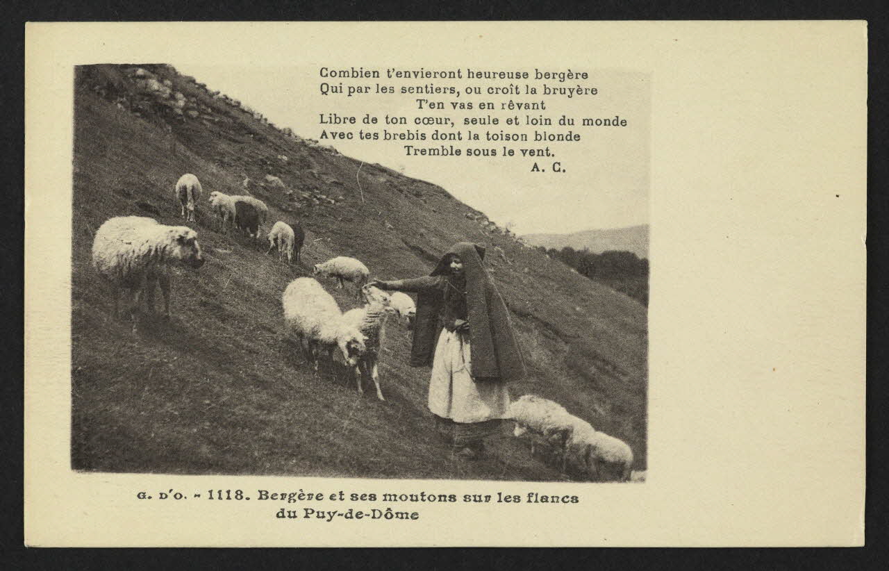 carte postale BERGERE ET SES MOUTONS SUR LES FLANCS DU PUY-DE-DO 4P1488 Photo