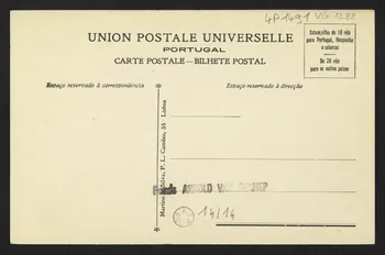 carte postale PORTUGAL, GADO NA PASTAGEM 4P1491 Photo