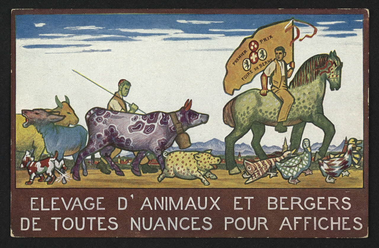 carte postale ELEVAGE D'ANIMAUX ET BERGERS DE TOUTES NUANCES 4P1504 Photo