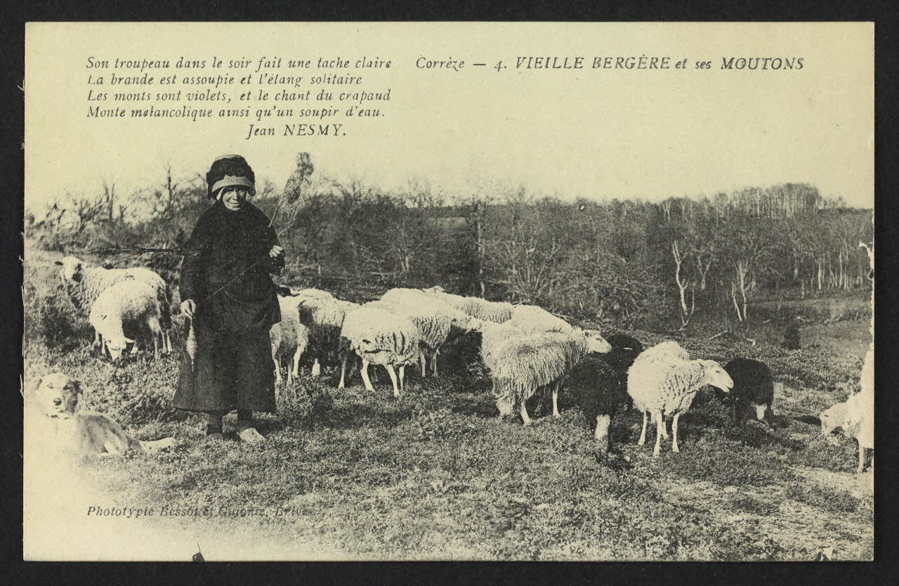 carte postale VIEILLE BERGERE ET SES MOUTONS 4P1512 Photo