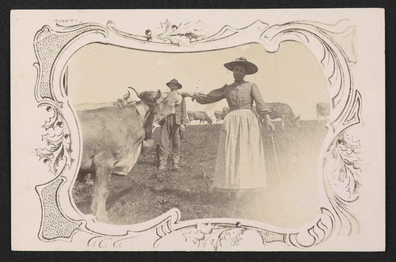 carte postale 4P1513 Photo