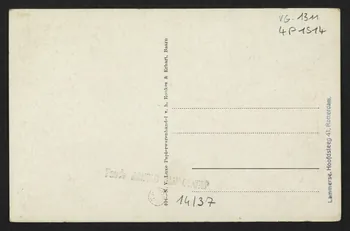 carte postale AXEL (ZEEUWSCH-VLAANDEREN), NAAR DE WEIDE 4P1514 Photo