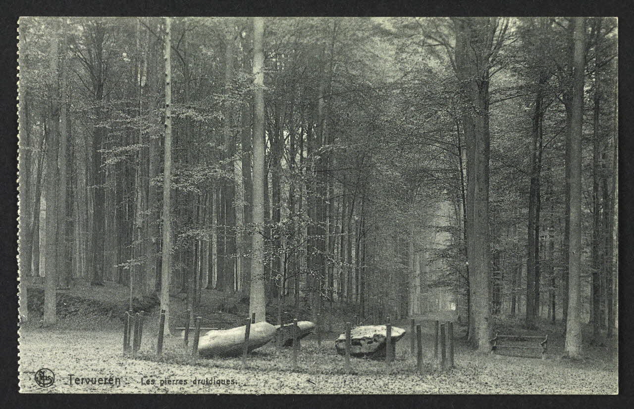 carte postale TERVUEREN, LES PIERRES DRUIDIQUES 4P1520 Photo