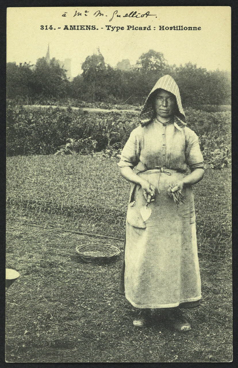 carte postale AMIENS, TYPE PICARD, HORTILLONNE 4P954 Photo
