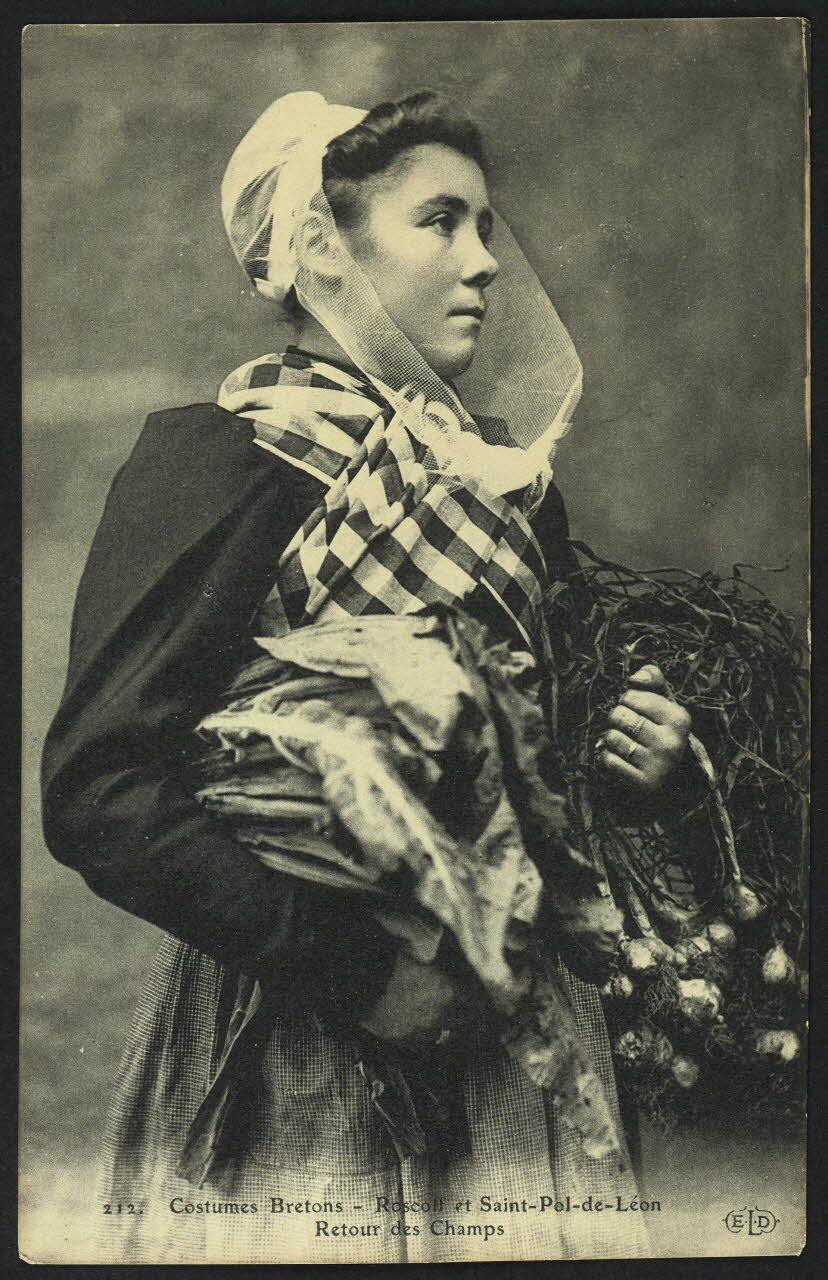 carte postale ROSCOFF ET SAINT-POL-DE-LEON, RETOUR DES CHAMPS 4P966 Photo