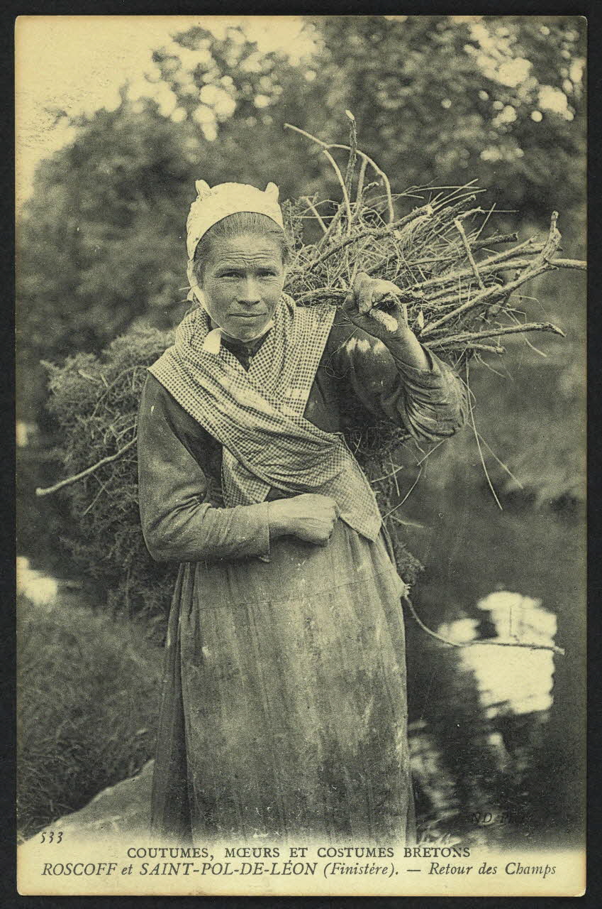 carte postale ROSCOFF ET SAINT-POL-DE-LEON, RETOUR DES CHAMPS 4P990 Photo