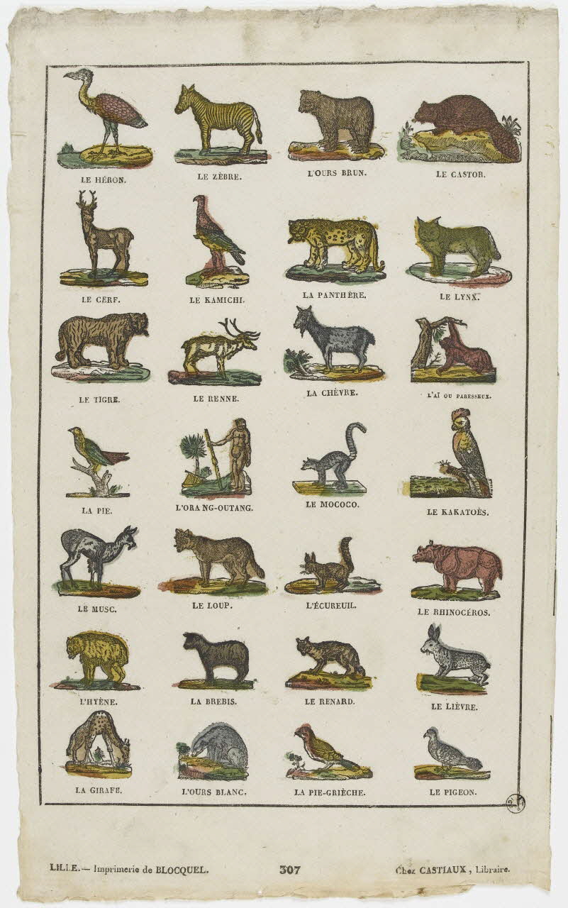 Jean-Baptiste Castiaux ; Simon-François Blocquel imagerie ancienne Planche d'animaux Lille 1809-1837 1953.12.61 Photo PHOTO RMN - THIERRY LE MAGE
