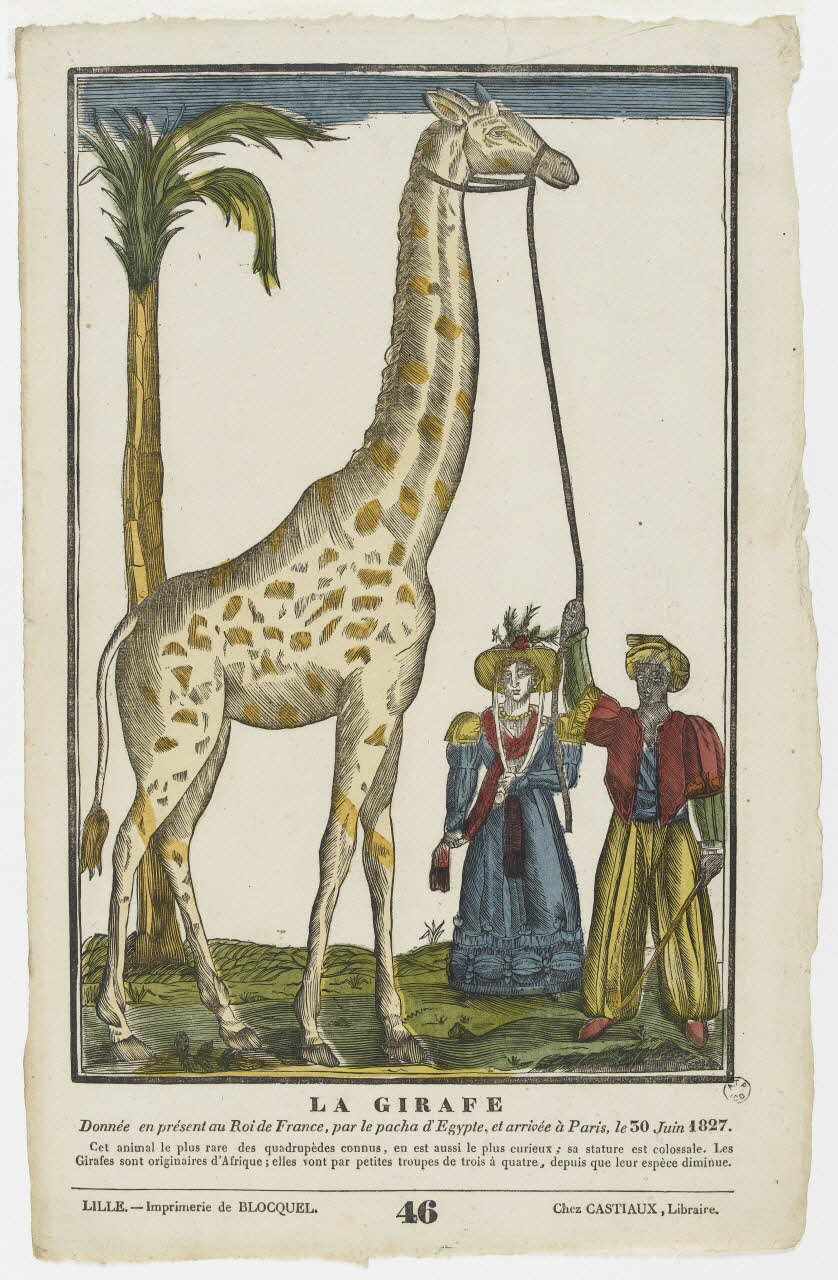 Jean-Baptiste Castiaux ; Simon-François Blocquel imagerie ancienne LA GIRAFE Nord-Pas-de-Calais, France 1827-1837 1965.75.435 Photo PHOTO RMN - THIERRY LE MAGE