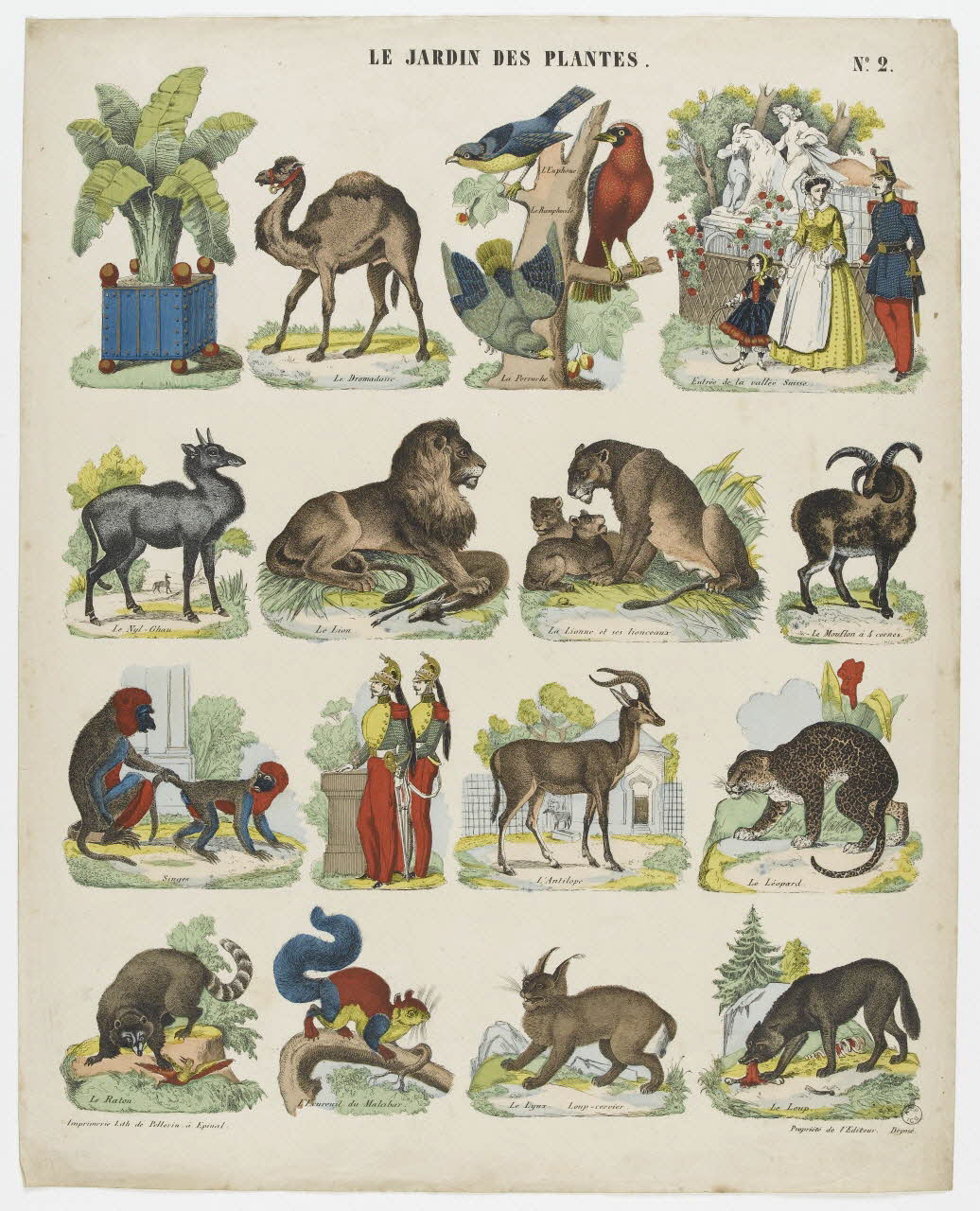 à registres (4) LE JARDIN DES PLANTES. 1953.86.4177 Photo PHOTO RMN - THIERRY LE MAGE