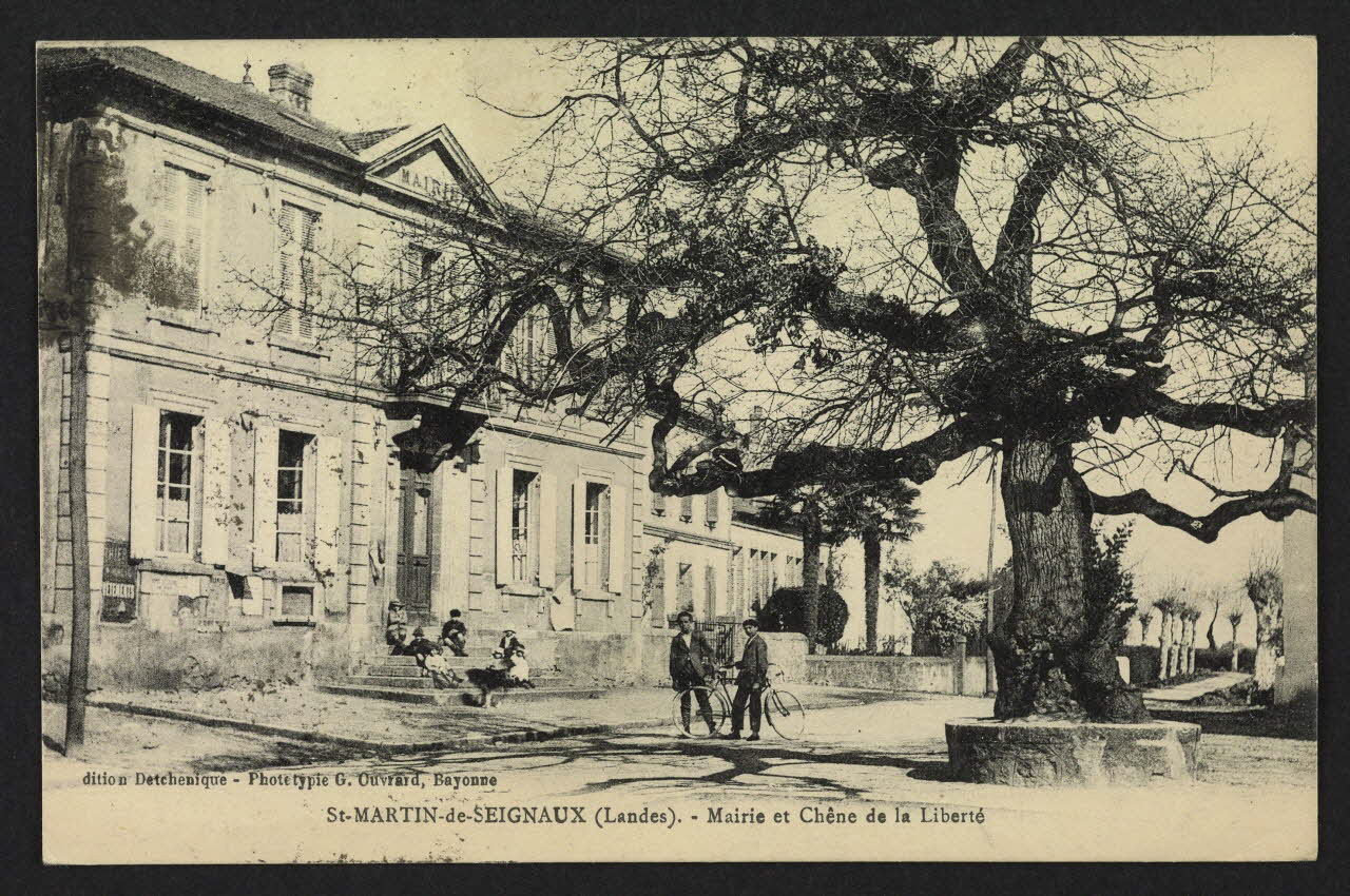 carte postale SAINT-MARTIN-DE-SEIGNAUX, MAIRIE ET CHENE DE LA LIBERT 4P1556 Photo