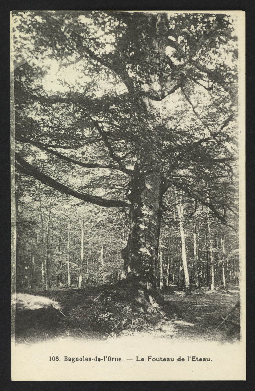 carte postale LE FOUTEAU DE L'ETEAU 4P1561 Photo