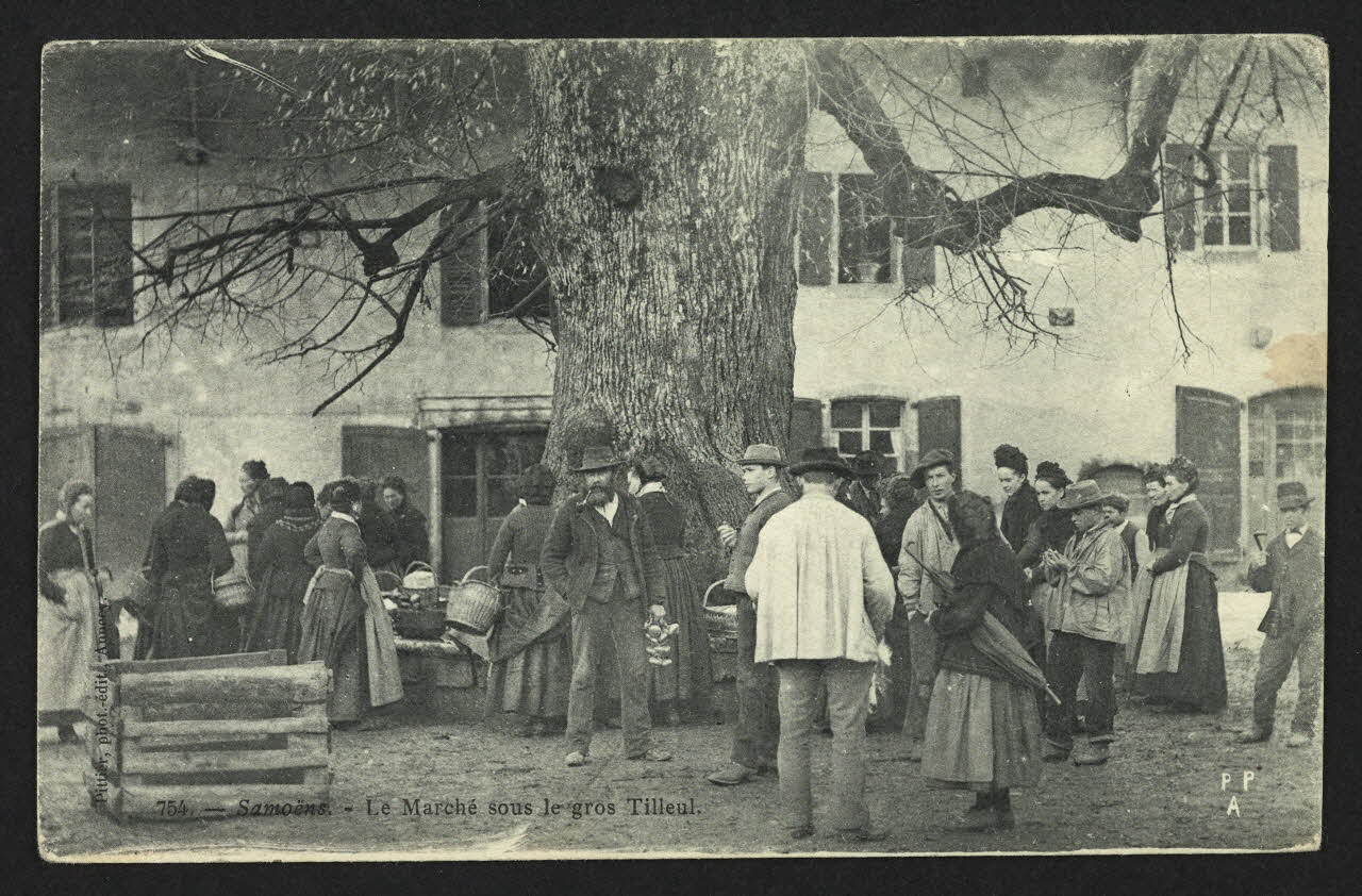 carte postale LE MARCHE SOUS LE GROS TILLEUL 4P1603 Photo