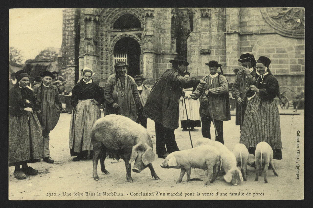 carte postale UNE FOIRE DANS LE MORBIHAN 4P1605 Photo