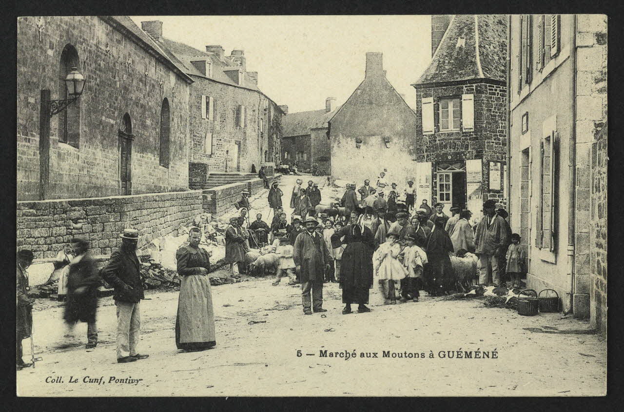 carte postale MARCHE AUX MOUTONS A GUEMENE 4P1619 Photo