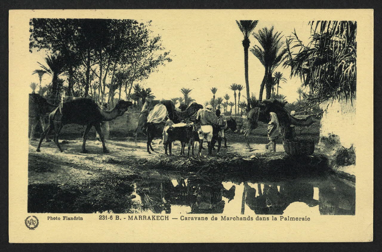 carte postale MARRAKECH, CARAVANE DE MARCHANDS DANS LA PALMERAIE 4P1621 Photo