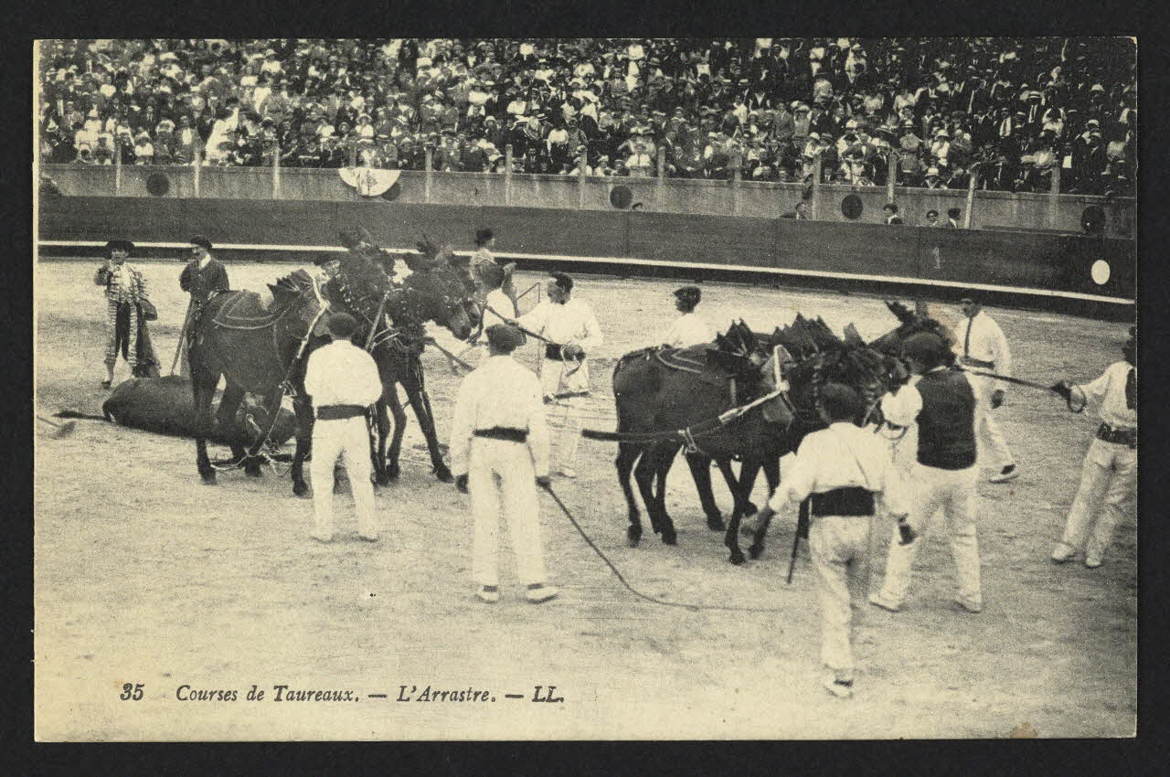 carte postale COURSE DE TAUREAUX, L'ARRASTRE 4P1700 Photo