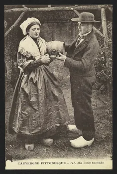 carte postale L'AUVERGNE PITTORESQUE, AUX CHAMPS 4P1783 Photo