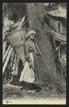 carte postale 4P1847 Photo