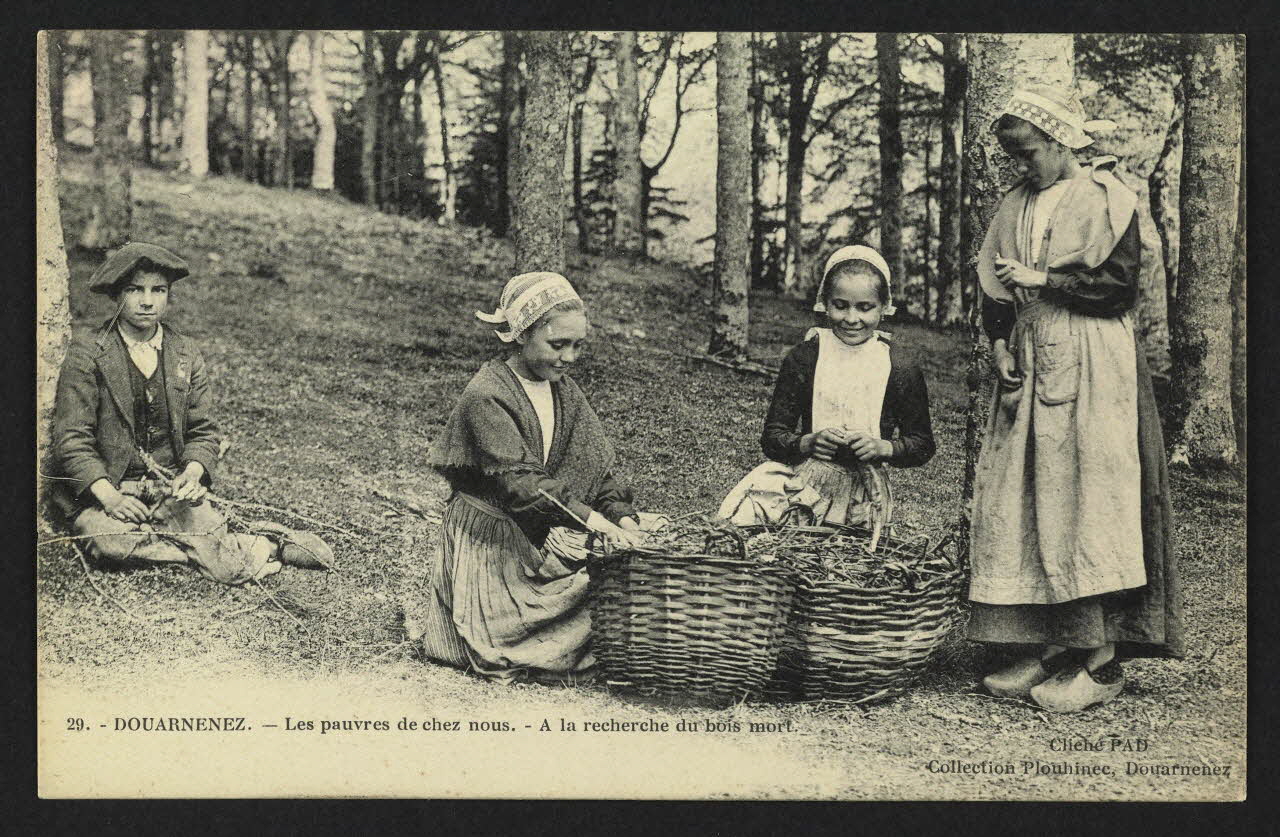 carte postale DOUARNENEZ, A LA RECHERCHE DU BOIS MORT 4P1860 Photo