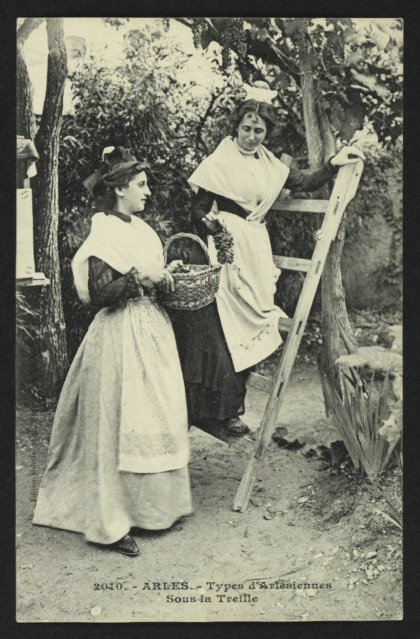 carte postale ARLES, TYPES D'ARLESIENNES, SOUS LA TREILLE 4P1874 Photo