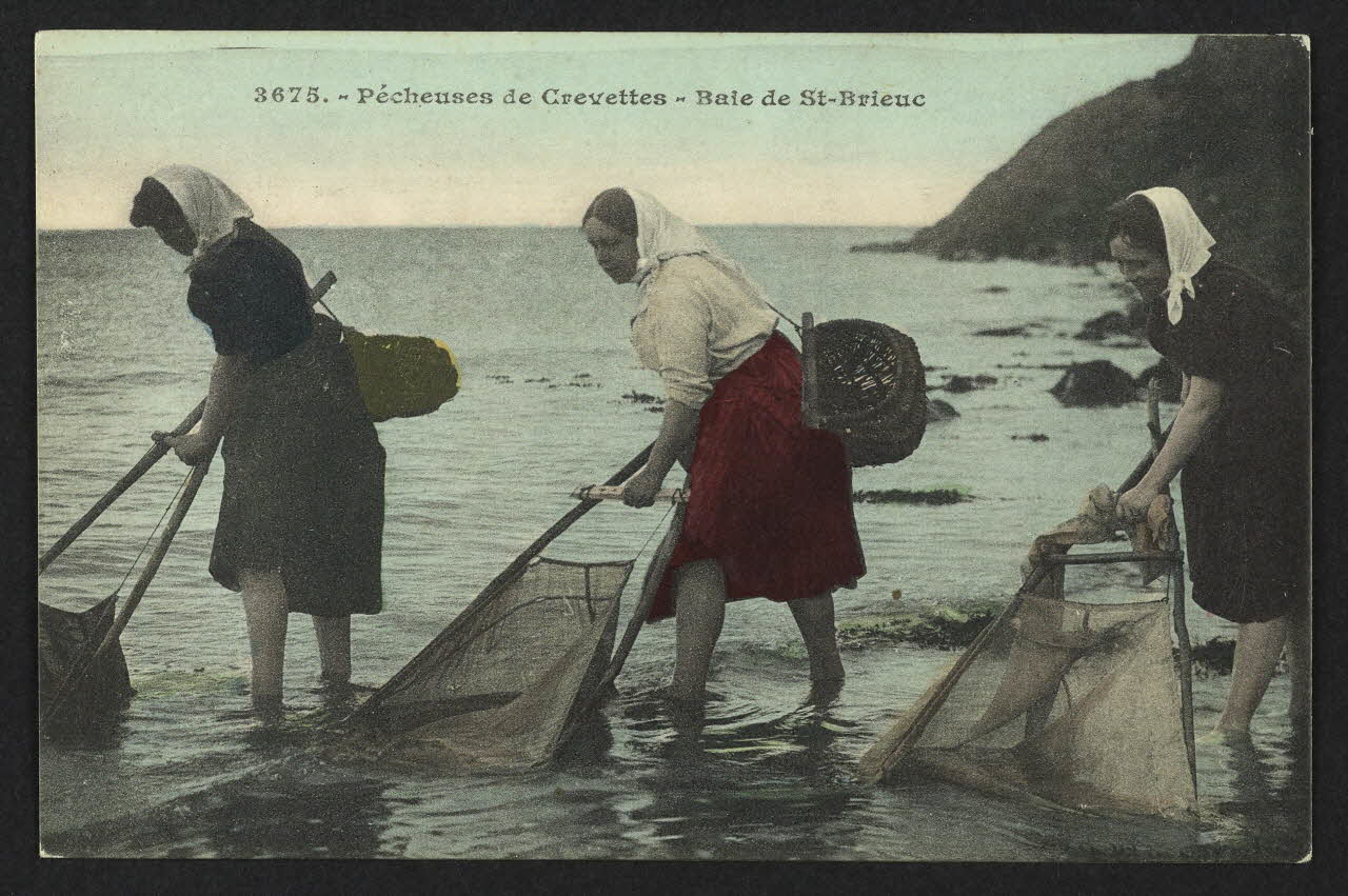 carte postale PECHEUSES DE CREVETTES, BAIE DE SAINT-BRIEUC 4P1878 Photo