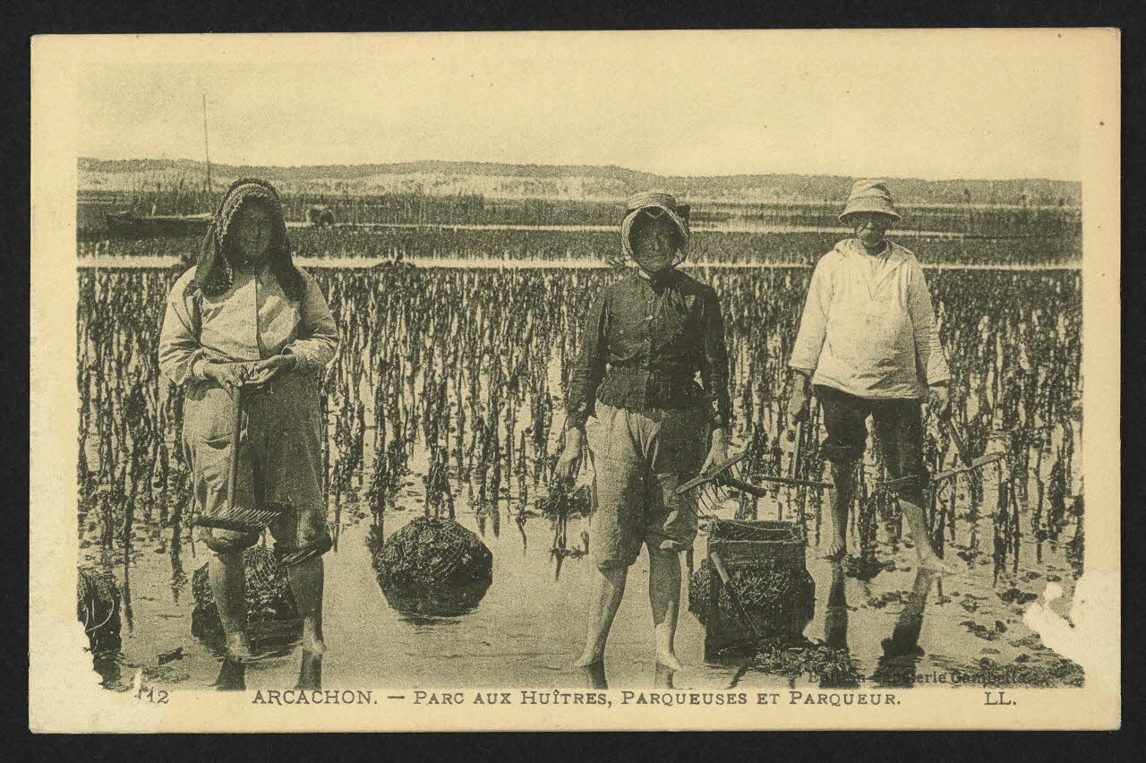 carte postale PARC AUX HUITRES, PARQUEUSES ET PARQUEUR 4P1881 Photo