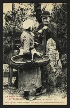carte postale LA NORMANDIE PITTORESQUE 4P1895 Photo