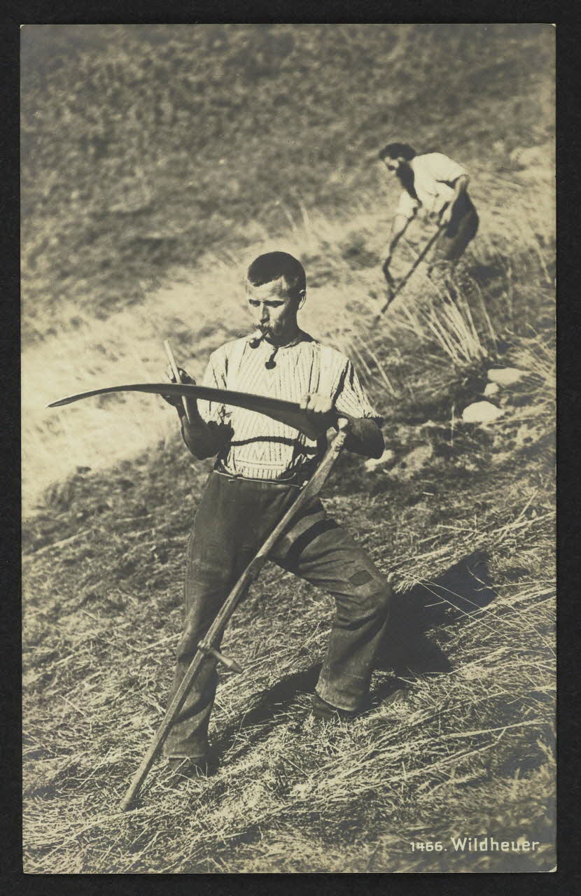 carte postale WILDHEVER 4P1917 Photo