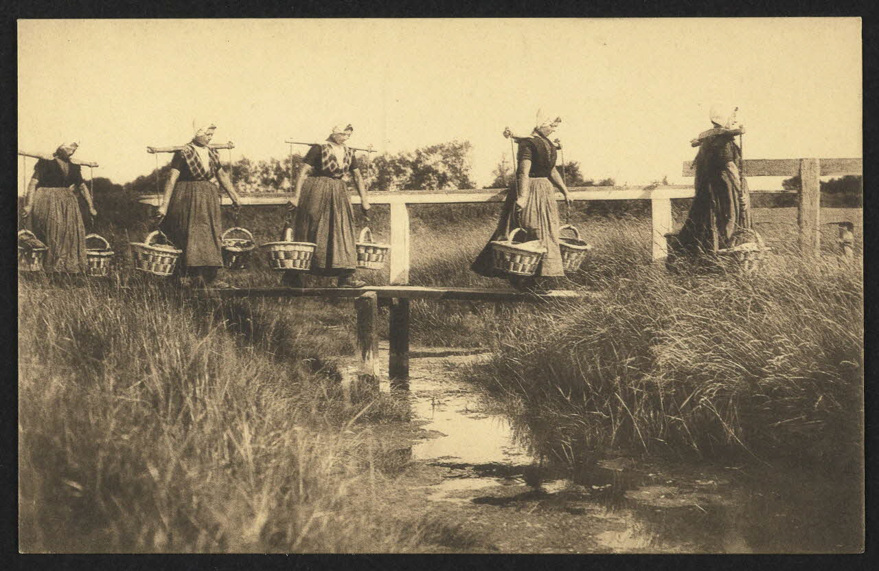 carte postale NAAR DE STAD, WISCHVROUWEN 4P1942 Photo