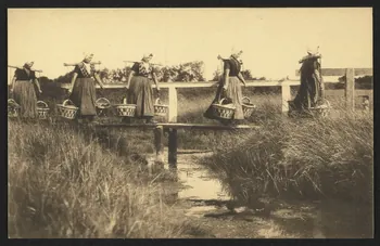 carte postale NAAR DE STAD, WISCHVROUWEN 4P1942 Photo