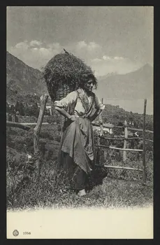 carte postale 4P1945 Photo