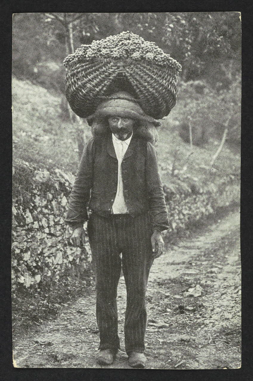 carte postale 4P1948 Photo