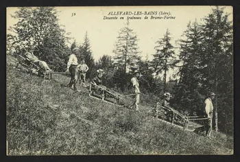 carte postale DESCENTE EN TRAINEAU DE BRAME-FARINE 4P1956  Photo