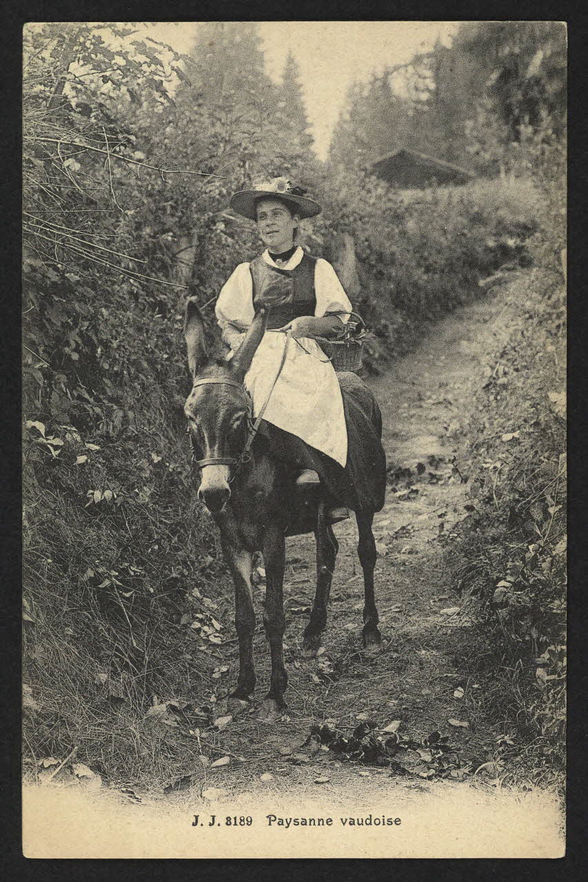 carte postale PAYSANNE VAUDOISE 4P1959 Photo
