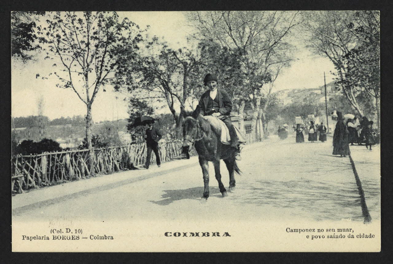 carte postale COIMBRA 4P1964 Photo